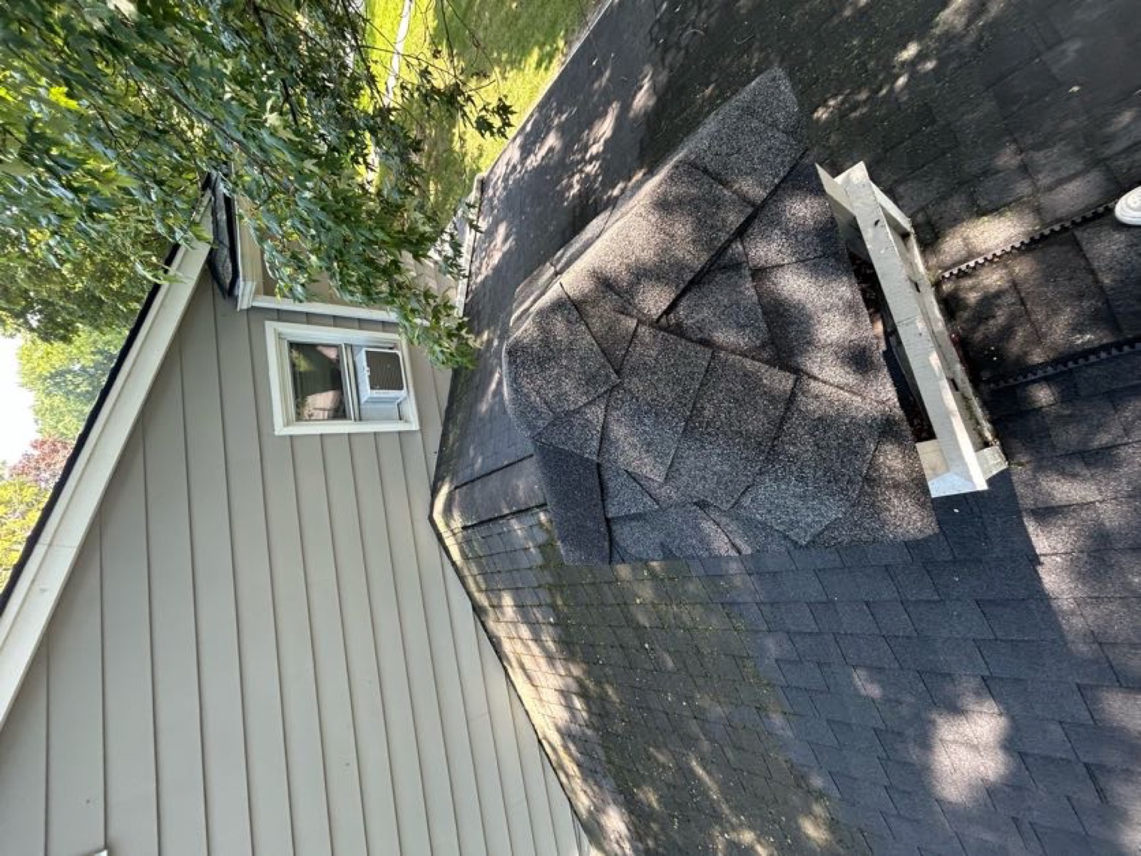 Roof and gutter line cleanup